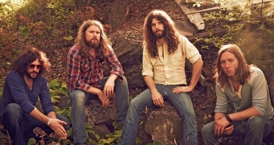 the sheepdogs